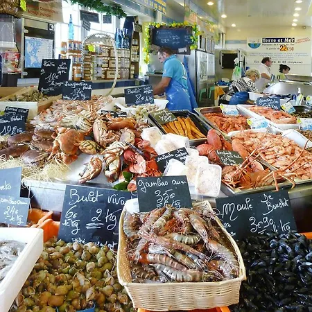 Apartment Near Alabaster Coast Beaches